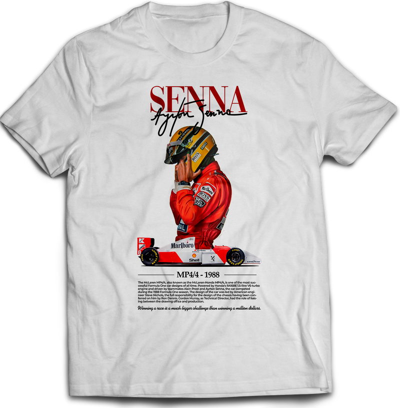 F1 Ayrton Senna